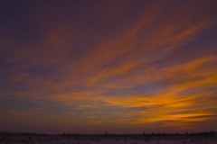 _IMG2615 _IMG2615
