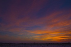 _IMG2623 _IMG2623