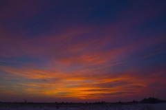 _IMG2625 _IMG2625