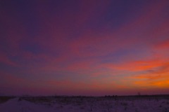 _IMG2629 _IMG2629