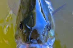 IMG_0521 IMG_0521
