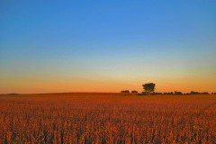 IMG_0562 IMG_0562