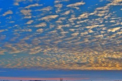 IMG_1116 IMG_1116