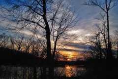 IMG_1267 IMG_1267