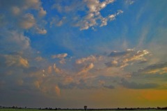 IMG_9831 IMG_9831