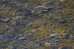 _IMG8249 _IMG8249