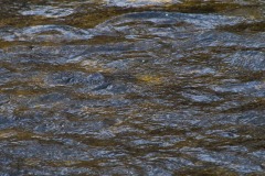 _IMG8250 _IMG8250