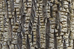 _IMG8255 _IMG8255