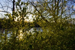_IMG3752 _IMG3752