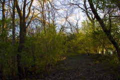 _IMG3758 _IMG3758