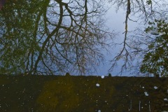 _IMG3766 _IMG3766