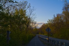 _IMG3770 _IMG3770