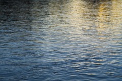 _IMG3774 _IMG3774