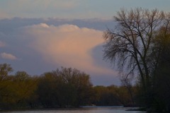 _IMG3784 _IMG3784