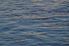 _IMG3786 _IMG3786