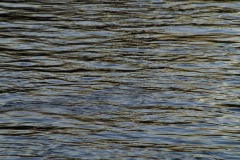 _IMG3789 _IMG3789