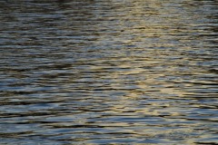 _IMG3790 _IMG3790