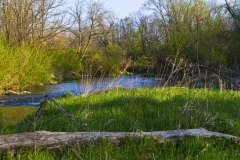 _IMG3798 _IMG3798