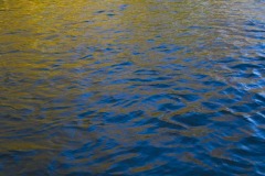 _IMG3806 _IMG3806