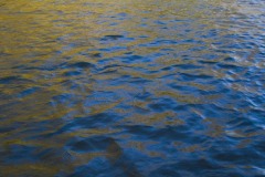 _IMG3807 _IMG3807