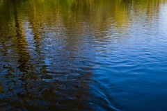 _IMG3812 _IMG3812