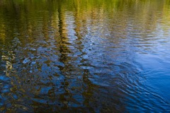 _IMG3813 _IMG3813