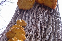 IMG_4825 IMG_4825