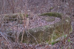 IMG_4821 IMG_4821