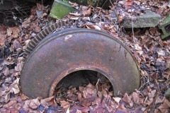 IMG_4826 IMG_4826
