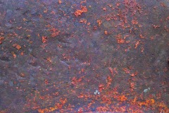 IMG_4827 IMG_4827