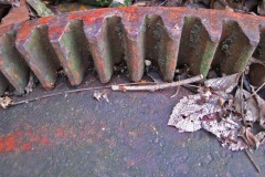 IMG_4830 IMG_4830