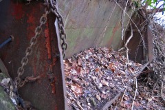 IMG_4831 IMG_4831