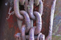 IMG_4833 IMG_4833