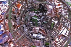 IMG_4835 IMG_4835