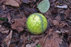 IMG_4836 IMG_4836