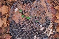 IMG_4837 IMG_4837