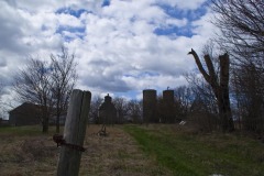 _IMG8393 _IMG8393