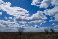 _IMG8397 _IMG8397