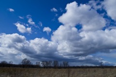 _IMG8417 _IMG8417