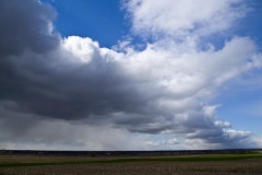 _IMG8421 _IMG8421