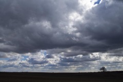 _IMG8424 _IMG8424