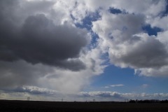 _IMG8426 _IMG8426