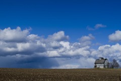 _IMG8442 _IMG8442