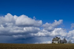 _IMG8444 _IMG8444