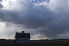 _IMG8448 _IMG8448