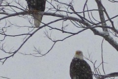 IMG_1154 IMG_1154