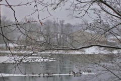 IMG_1161 IMG_1161