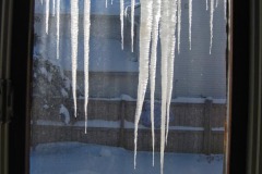 IMG_1164 IMG_1164