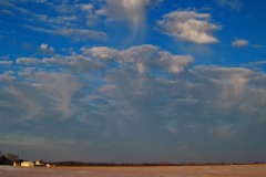 IMG_1181 IMG_1181