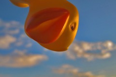 IMG_1189 IMG_1189